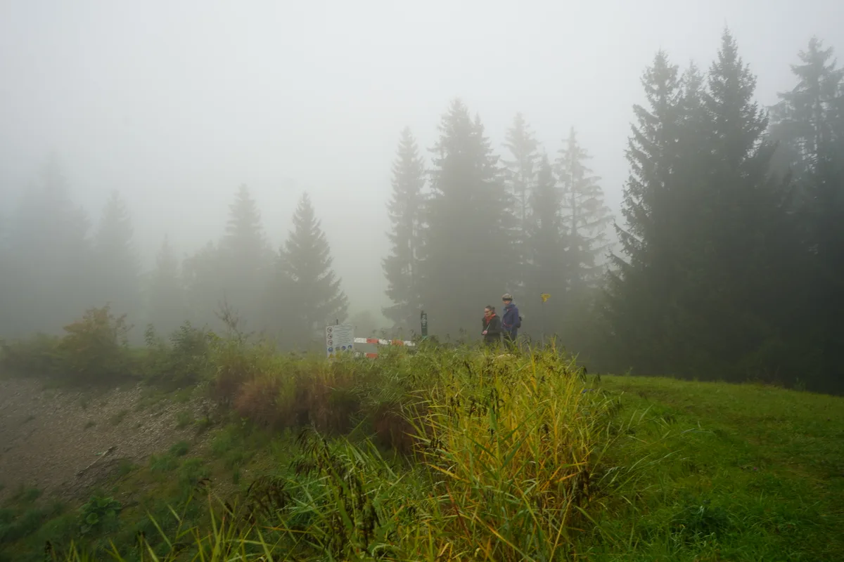 Die Sanierung am Bachtelweiher verzögert sich. Zwei Menschen stehen im Nebel, neben dem leergefischten Weiher.